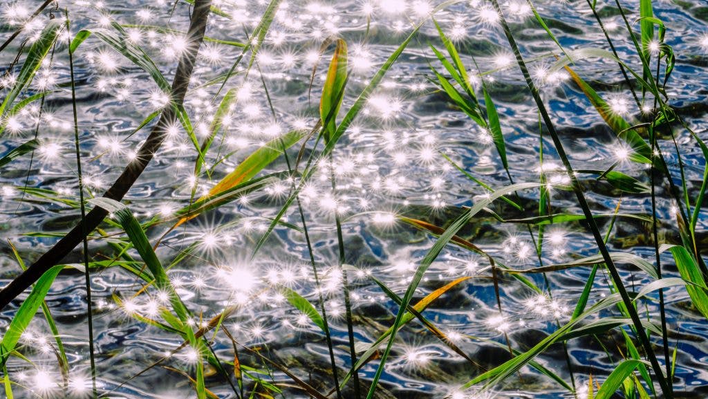 Sun sparkles on the water surface in Green lake state park.